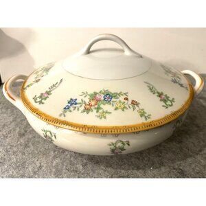 Vintage Handpainted Ceramic/Porcelain Soup Tureen w/Lid  #2314
